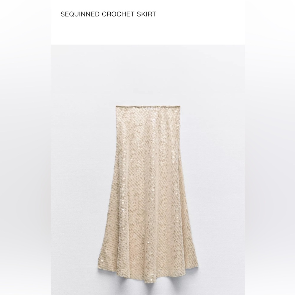 Zara Sequin Skirt